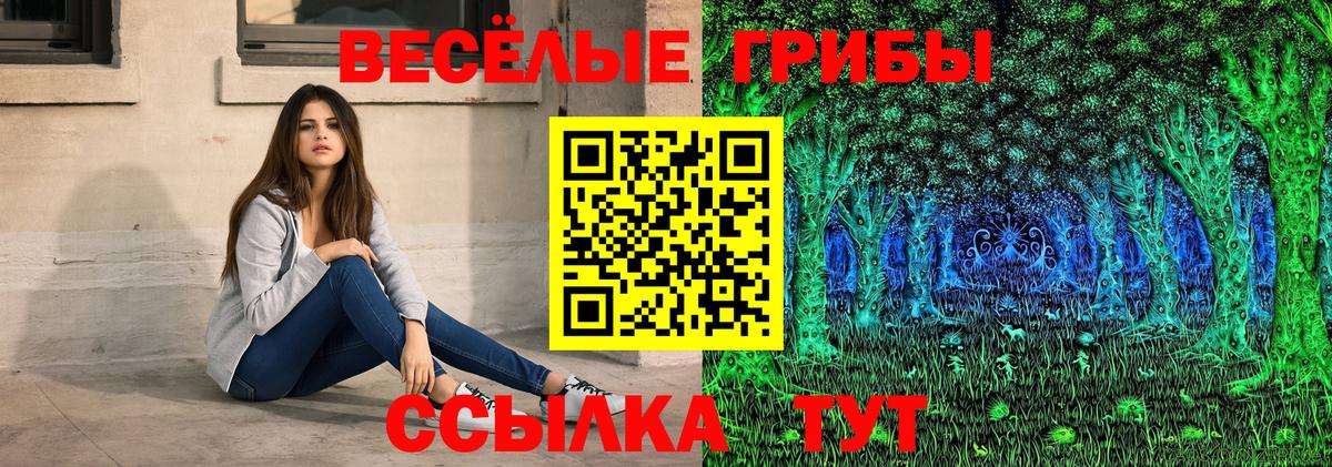 Галлюциногенные грибы GOLDEN TEACHER  Галлюциногенные грибы MAGIC MUSHROOMS  Вход с VPN  где можно купить наркотик  Волжский 